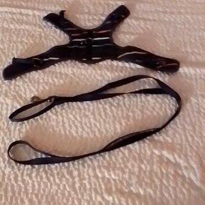 Kitty 🐈 harness & matching leash